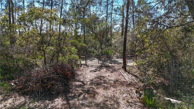 6646 N Percale Terrace, Dunnellon, FL 34433