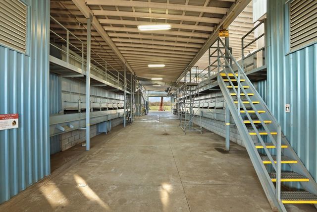 5725 N Wall Rd, Linden, CA 95236