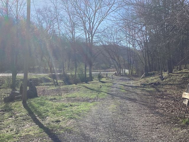 334 Richardson Hollow Ln, Gainesboro, TN 38562