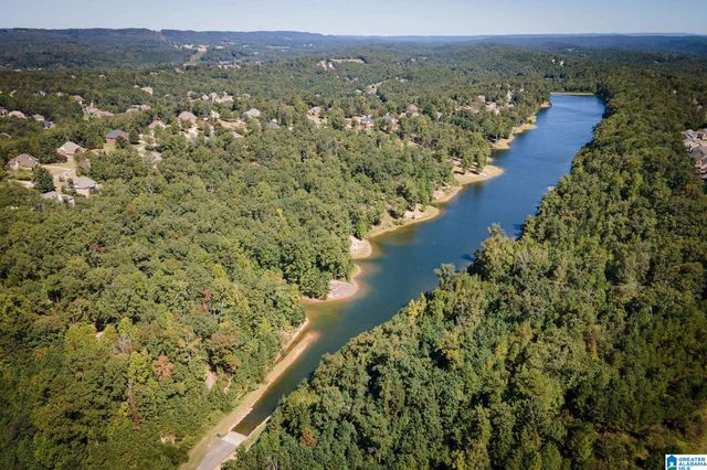 8474 CARRINGTON LAKE COVE, Trussville, AL 35173