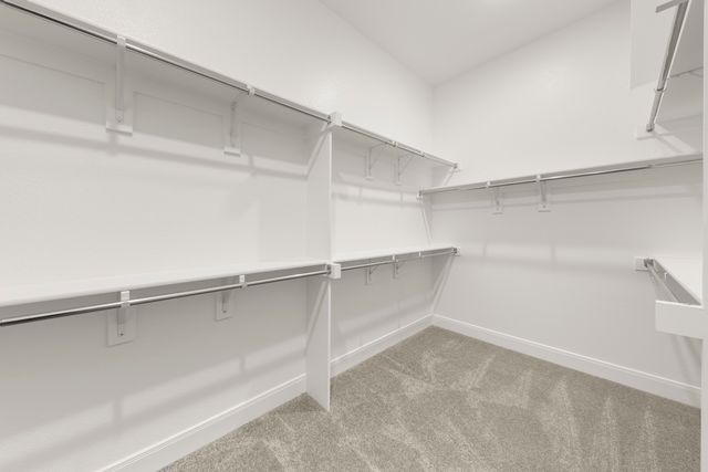 1201 Century Tree Lane, Anna, TX 75409