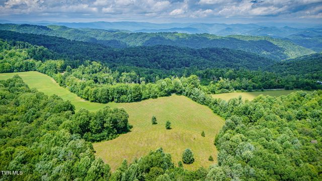 0 Walnut Mtn Road, Roan Mountain, TN 37687
