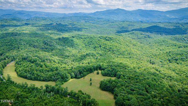 0 Walnut Mtn Road, Roan Mountain, TN 37687