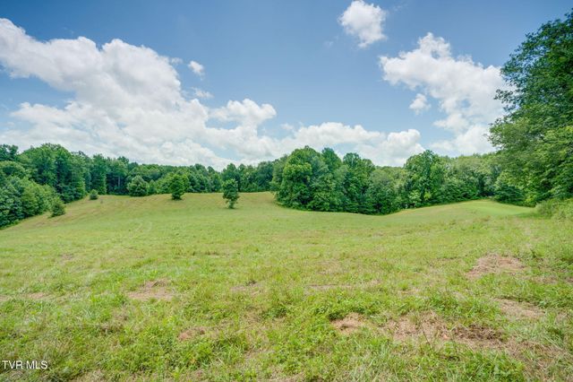 0 Walnut Mtn Road, Roan Mountain, TN 37687