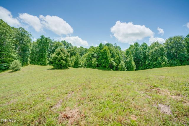 0 Walnut Mtn Road, Roan Mountain, TN 37687