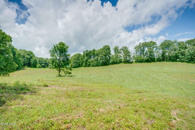 0 Walnut Mtn Road, Roan Mountain, TN 37687