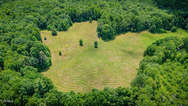 0 Walnut Mtn Road, Roan Mountain, TN 37687