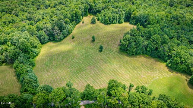 0 Walnut Mtn Road, Roan Mountain, TN 37687