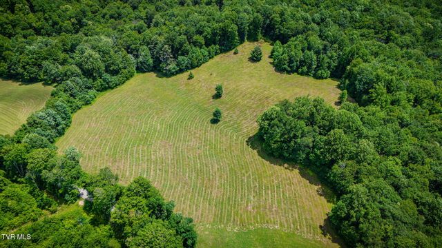 0 Walnut Mtn Road, Roan Mountain, TN 37687