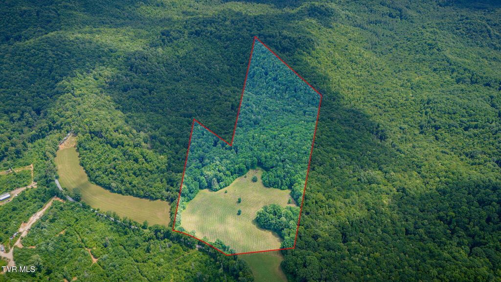 0 Walnut Mtn Road, Roan Mountain, TN 37687