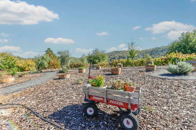 3770 Sheep Ranch Rd, Murphys, CA 95247