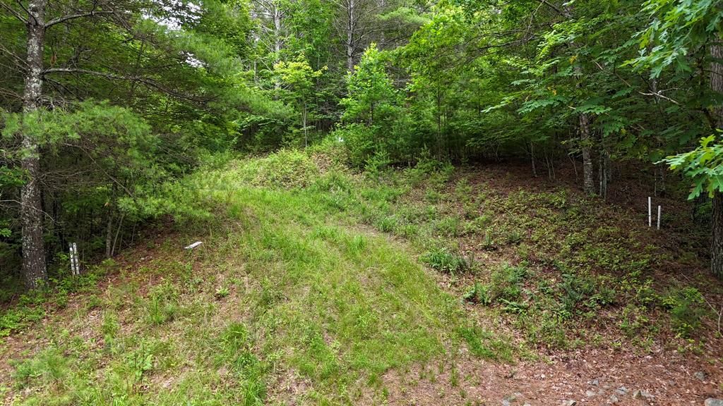 00 Choctaw Ridge Trail, Murphy, NC 28906
