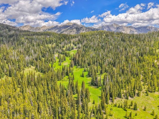 NHN Beehive Basin Road, Big Sky, MT 59730