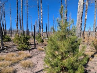 1708 Burgoyne Loop, Fort Garland, CO 81133