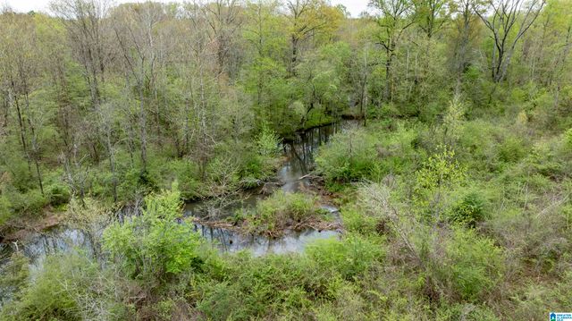 0 COUNTY ROAD 107, Montevallo, AL 35115