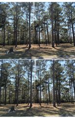 1148 Fiddlehead Way, Myrtle Beach, SC 29579