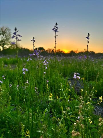 13844 NW 21ST COURT, Citra, FL 32113