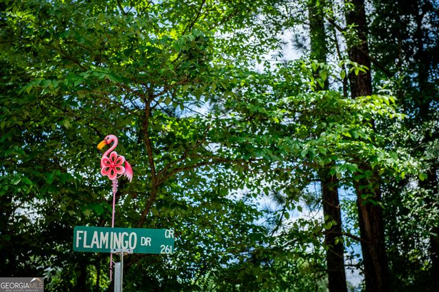230 Flamingo Dr, Monticello, GA 31064