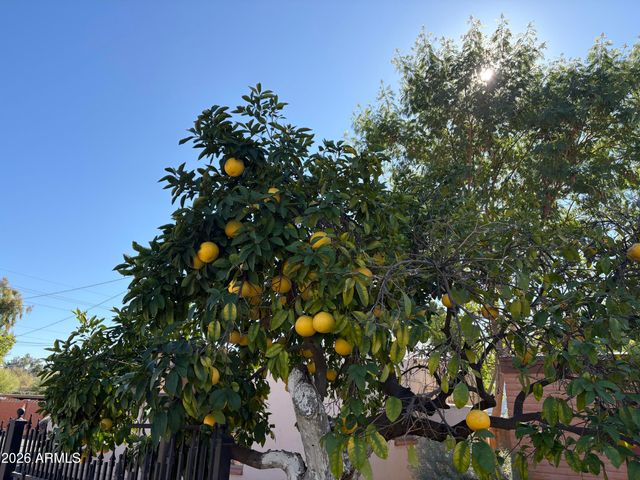 5236 N 20TH Street C4, Phoenix, AZ 85016