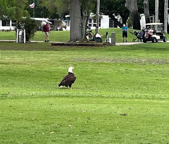 1100 BELCHER ROAD S 152, Largo, FL 33771