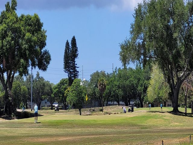 2298 NETHERLANDS DRIVE 32, Clearwater, FL 33763