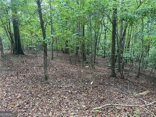 140 Joe Green Lane, Canton, GA 30114