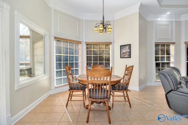 102 Chaucer Drive, Madison, AL 35757