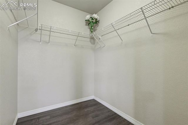 6295 Wallowing Way, Colorado Springs, CO 80925