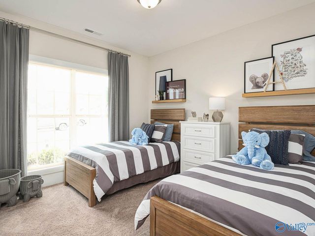 112 Cotita Drive, Toney, AL 35773