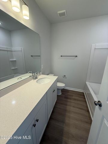 5617 Palm Tree Place, Leland, NC 28451