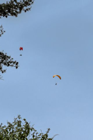 1004 Window Rock Road, Dunlap, TN 37327