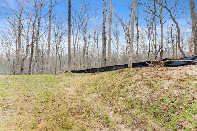 96 Hawks Ridge Ct, Cleveland, GA 30528