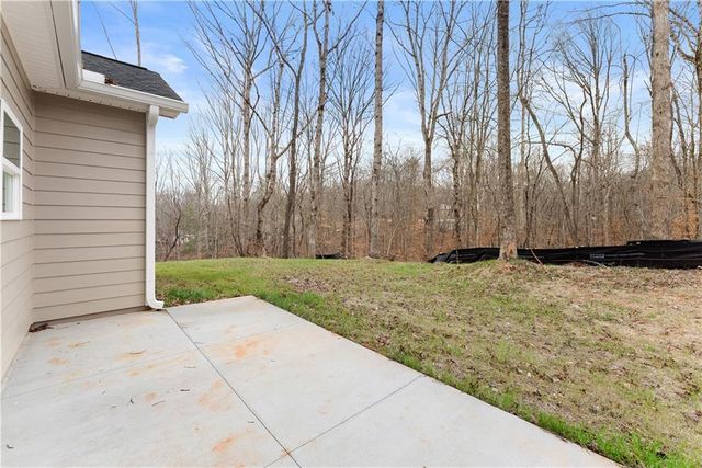 96 Hawks Ridge Ct, Cleveland, GA 30528