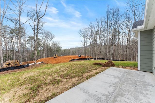 96 Hawks Ridge Ct, Cleveland, GA 30528