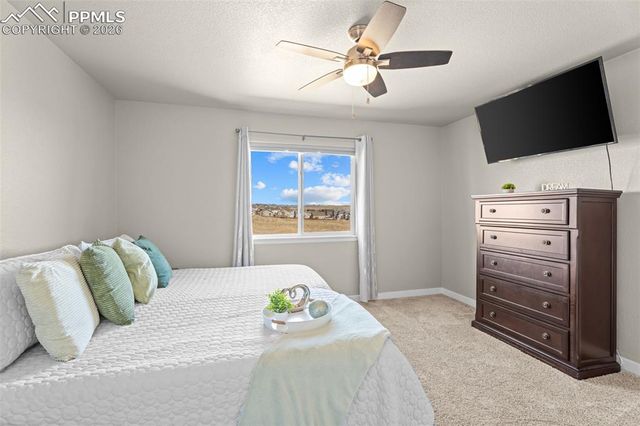 7502 Willow Pines Place, Fountain, CO 80817