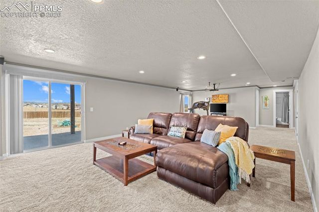 7502 Willow Pines Place, Fountain, CO 80817