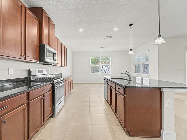 11626 LAKE LUCAYA DRIVE, Riverview, FL 33579