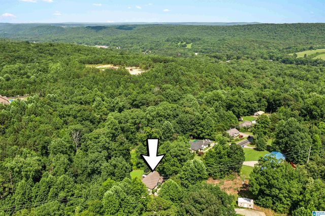 5285 RED VALLEY ROAD, Remlap, AL 35133