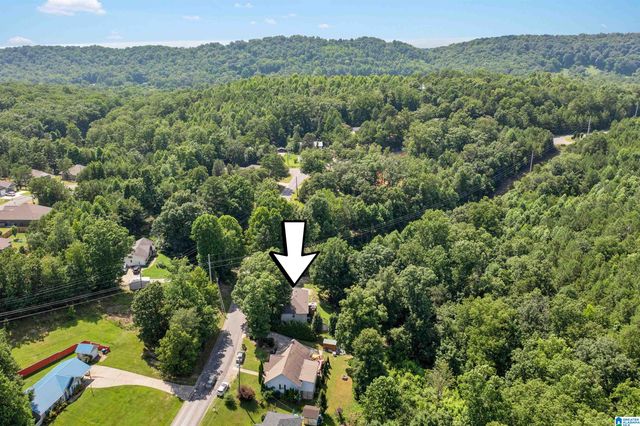 5285 RED VALLEY ROAD, Remlap, AL 35133