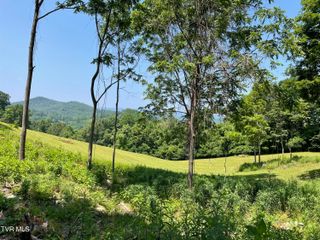 Tbd Lake Mist Trail, Butler, TN 37640