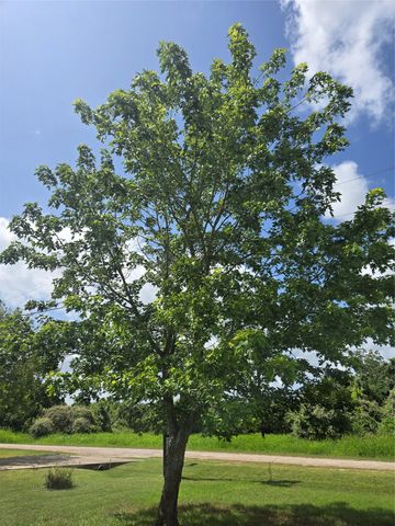 184 Kahana LN, Bastrop, TX 78602