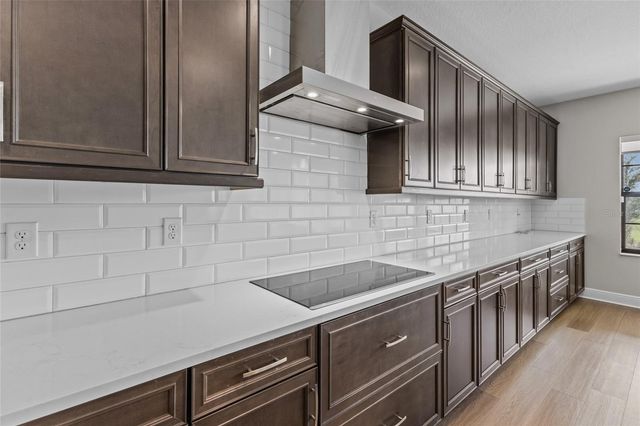 12795 FISHERVILLE WAY, Riverview, FL 33579
