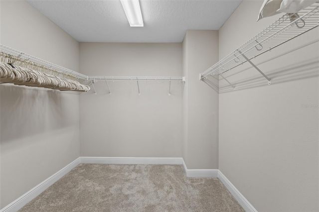 12795 FISHERVILLE WAY, Riverview, FL 33579