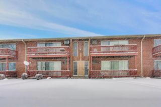 553 N Carroll Parkway 2C, Glenwood, IL 60425