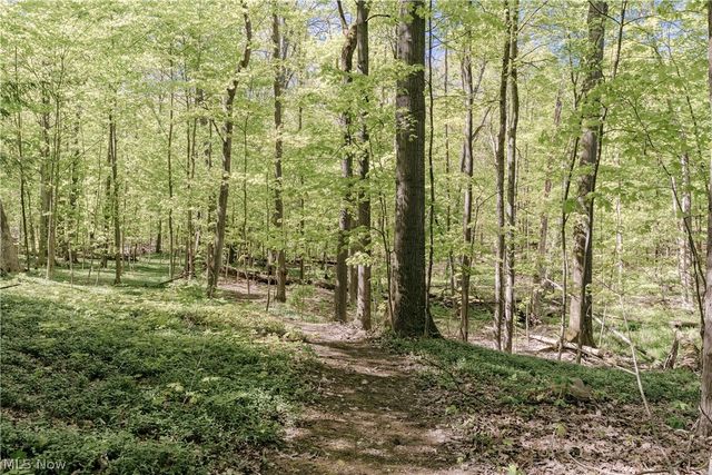 33475 Miles Road, Moreland Hills, OH 44022