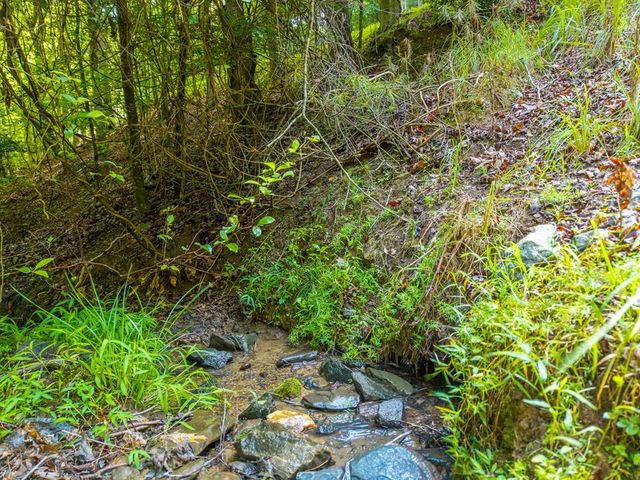 6 Spalding Court, Ellijay, GA 30540