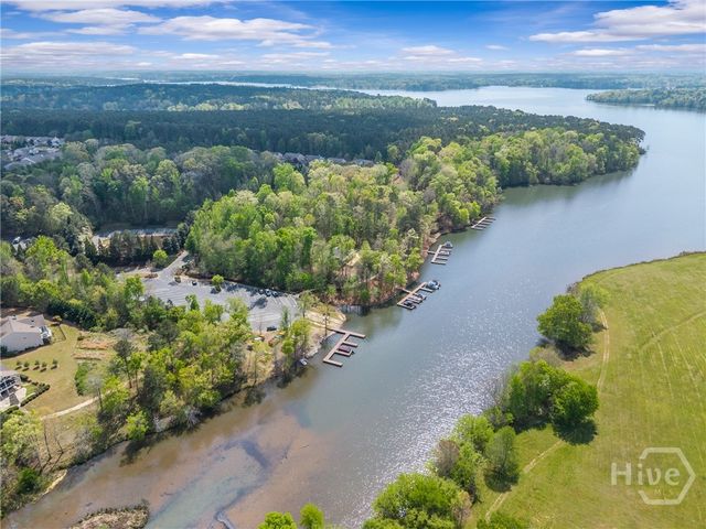 1010 Overlook Cove, Greensboro, GA 30642