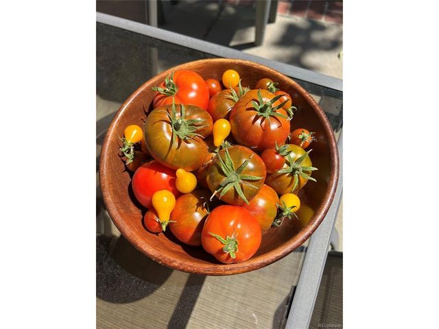 2332 N Glencoe St, Denver, CO 80207