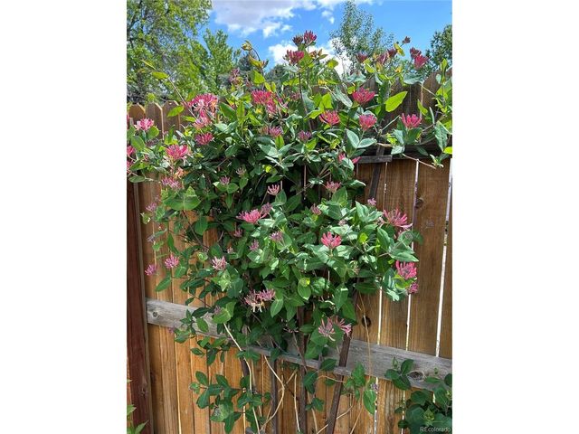 2332 N Glencoe St, Denver, CO 80207