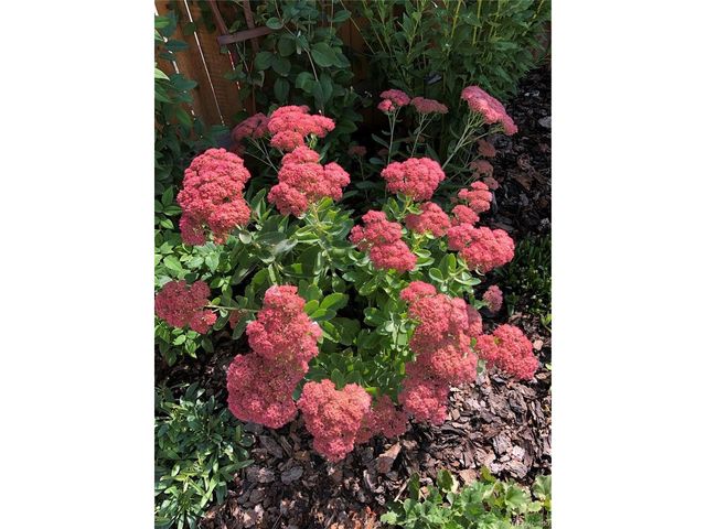 2332 N Glencoe St, Denver, CO 80207